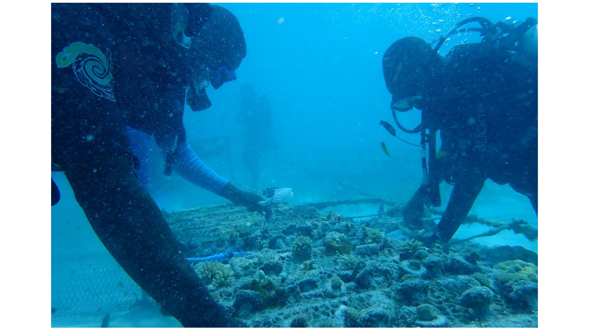 WATUMISHI WATATU (3) MPRU-TMRS WAPATIWA MAFUNZO YA UREJESHAJI WA MIAMBA YA MATUMBAWE